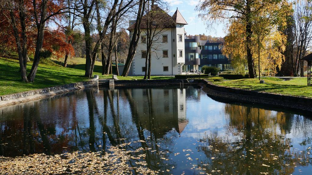 Lambergh Chateau & Hotel Dvorska Vas Exterior photo